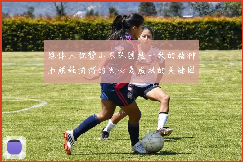 媒体人称赞山东队团结一致的精神和顽强拼搏的决心是成功的关键因素