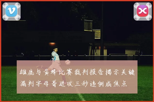 雄鹿与黄蜂比赛裁判报告揭示关键漏判字母哥进攻三秒违例成焦点