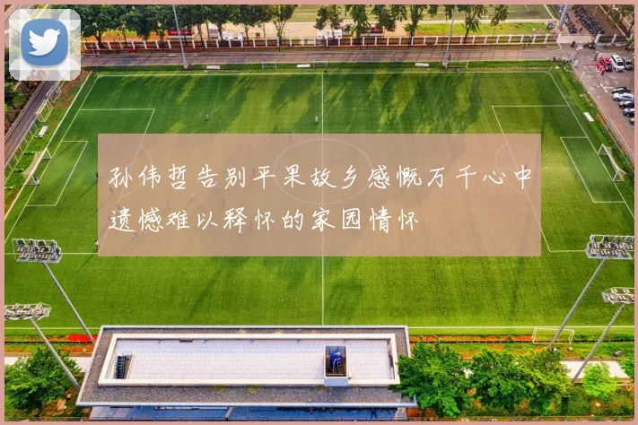 孙伟哲告别平果故乡感慨万千心中遗憾难以释怀的家园情怀