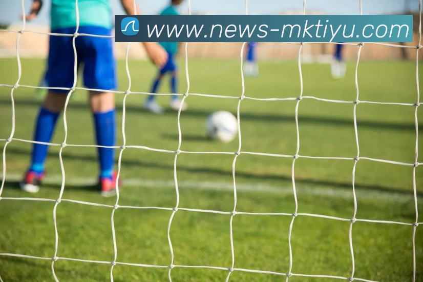 多媒体互动体验