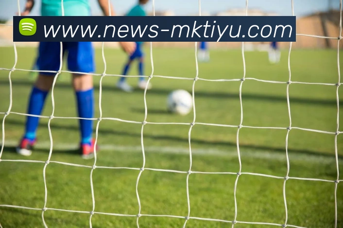 MK体育APP 高清赛事图